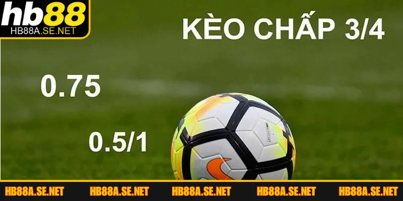 Kèo Chấp 3/4 - Mẹo Chinh Phục Mọi Giải Đấu Lớn 2026 3 Tip tính tiền thắng cược 0.75 chuẩn xác tại nhà cái HB88